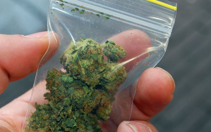 marijuana citations and drug possessions florida